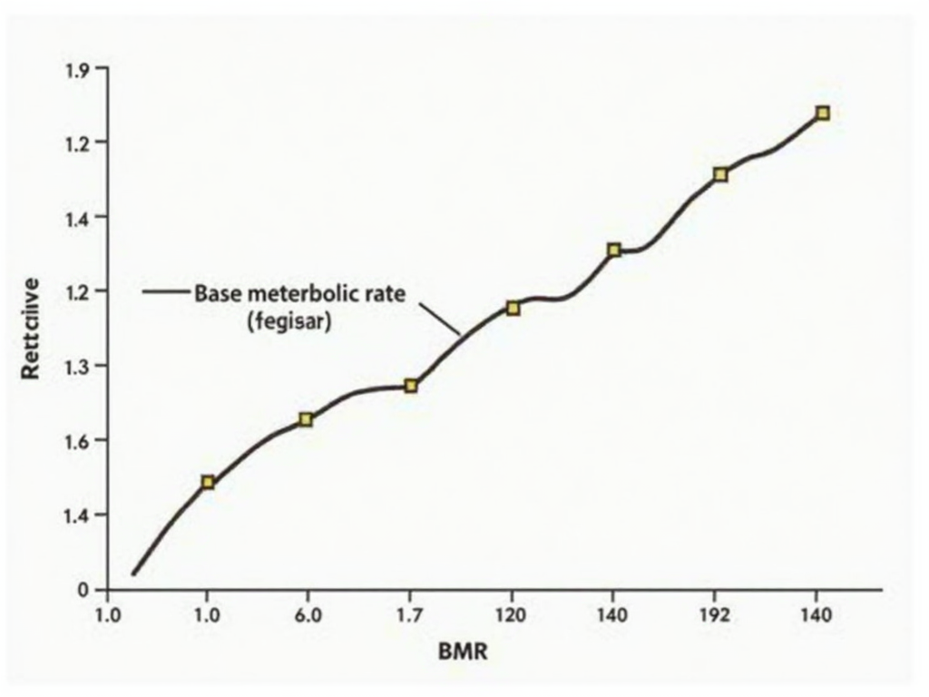 Grafic care arată cum rata metabolică bazală scade în timp cu dietele restrictive, comparativ cu o dietă echilibrată.